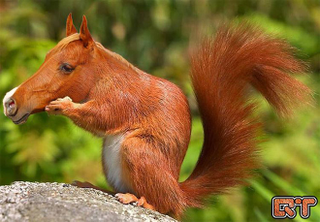 Illustration for article titled Yikes, these animal hybrids are so hilariously terrifying